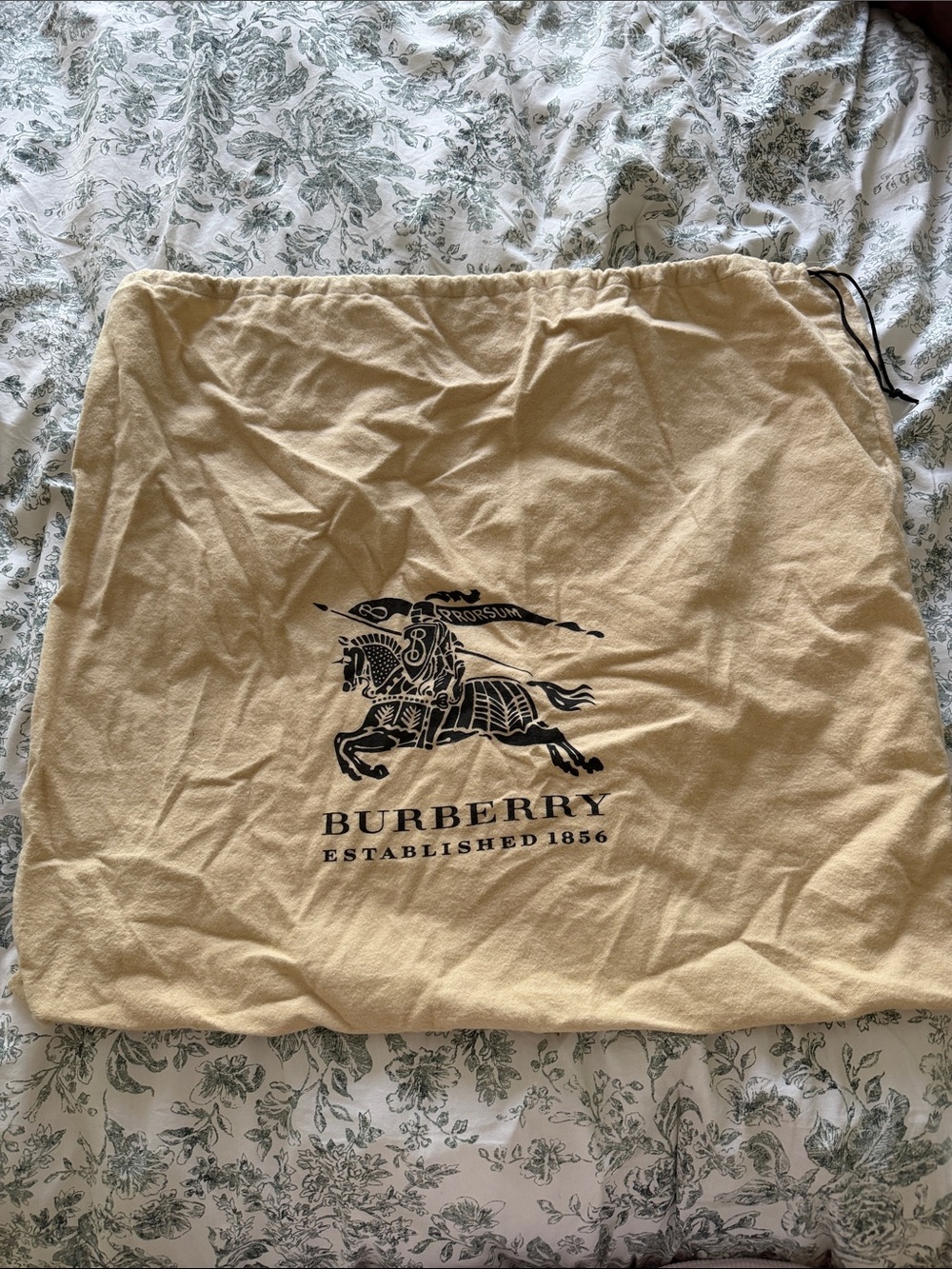 Authentic Burberry DustBag